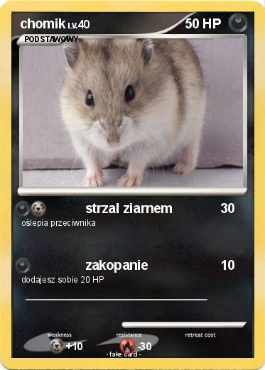 Pokemon chomik