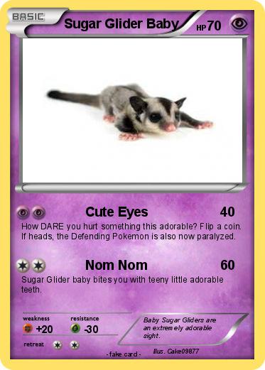 Pokemon Sugar Glider Baby