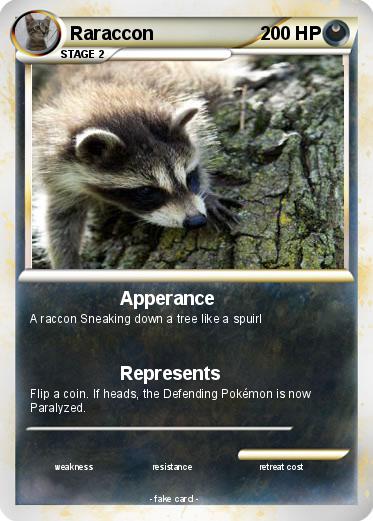 Pokemon Raraccon