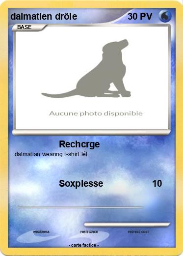 Pokemon dalmatien drôle