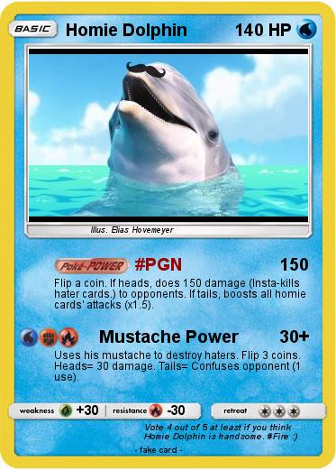 Pokemon Homie Dolphin