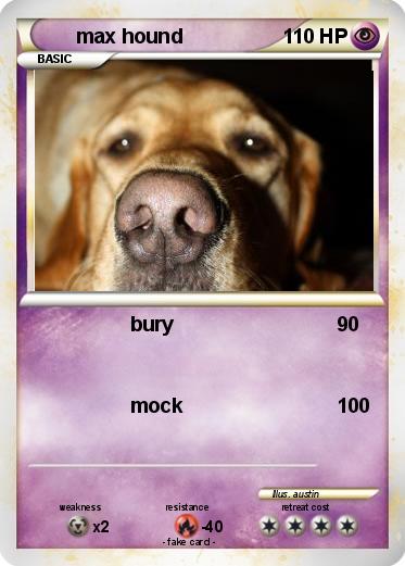 Pokemon max hound