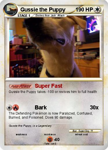 Pokemon Gussie the Puppy