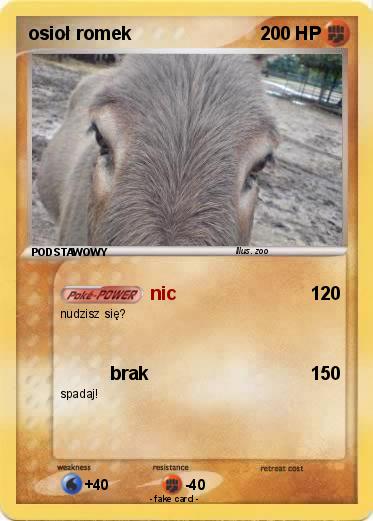 Pokemon osioł romek