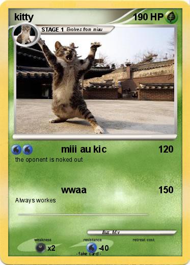 Pokemon kitty