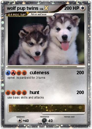 Pokemon wolf pup twins