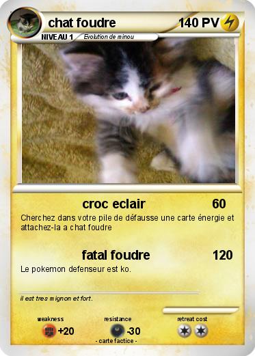 Pokemon chat foudre