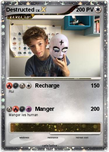 Pokemon Destructed