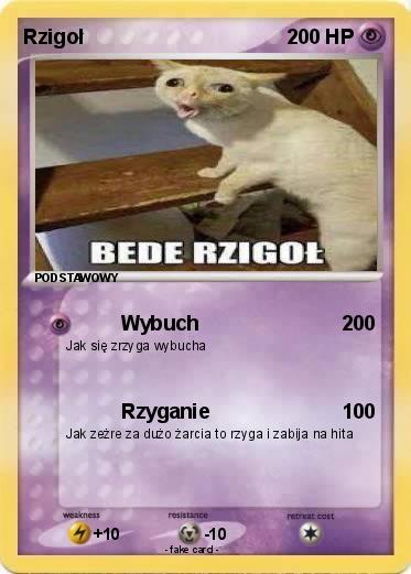 Pokemon Rzigoł