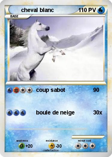 Pokemon cheval blanc