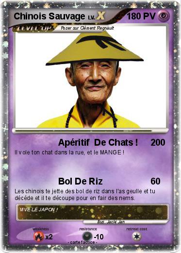 Pokemon Chinois Sauvage