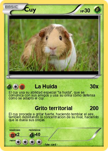 Pokemon Cuy