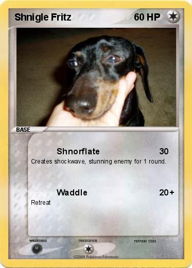 Pokemon Shnigle Fritz