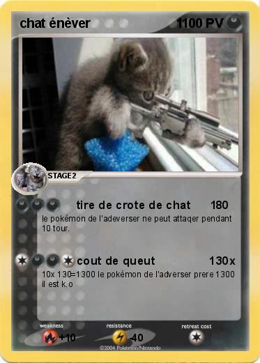 Pokemon chat énèver                        1  