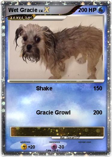 Pokemon Wet Gracie