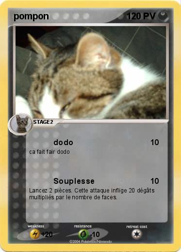 Pokemon pompon