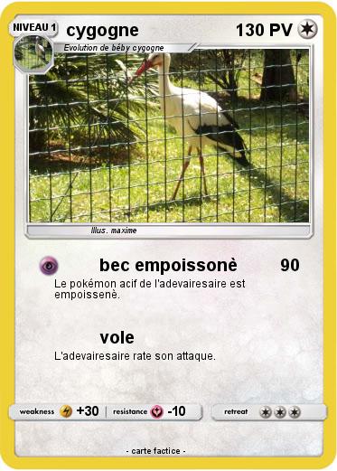 Pokemon cygogne