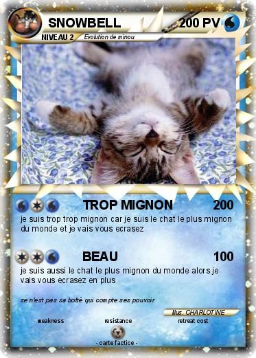 Pokemon SNOWBELL