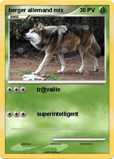 Pokemon berger allemand mix