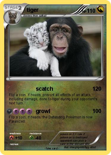 Pokemon tiger
