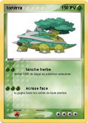 Pokemon tortérra