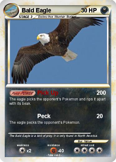 Pokemon Bald Eagle