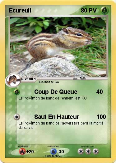 Pokemon Ecureuil