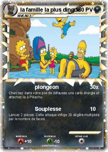 Pokemon la famille la plus dingue