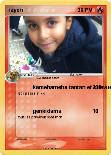 Pokemon rayen