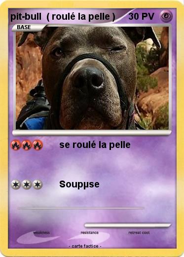 Pokemon pit-bull  ( roulé la pelle )