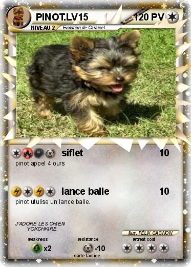 Pokemon PINOT.LV15