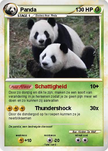 Pokemon Panda