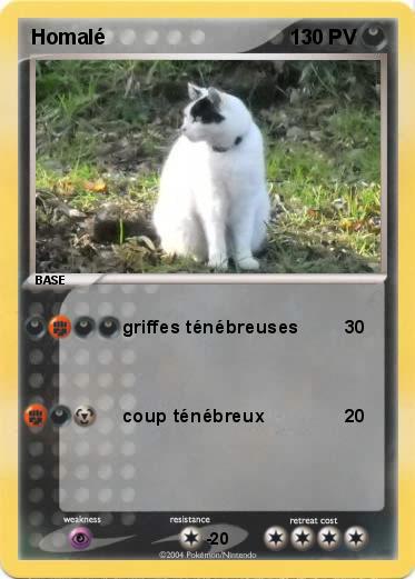 Pokemon Homalé