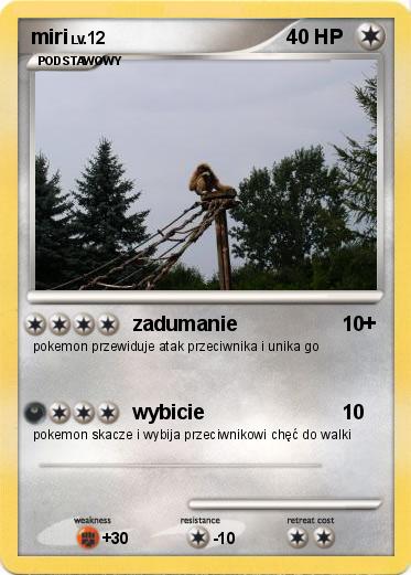 Pokemon miri