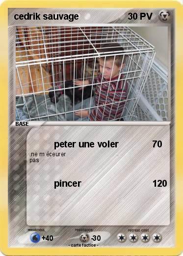 Pokemon cedrik sauvage