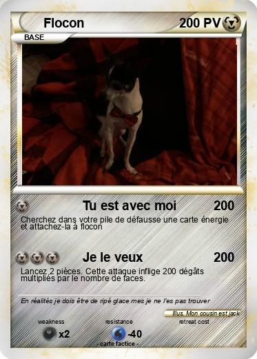 Pokemon Flocon