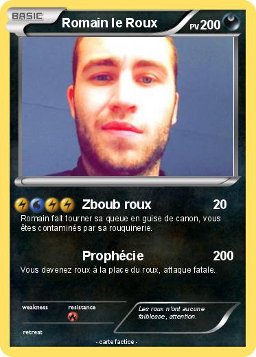 Pokemon Romain le Roux