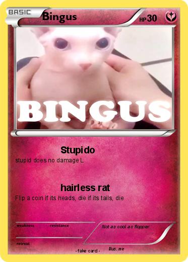 Pokemon Bingus
