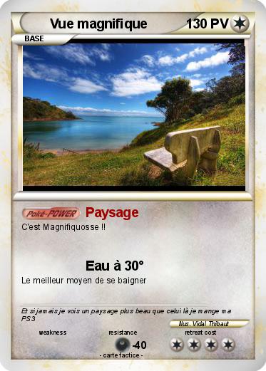 Pokemon Vue magnifique