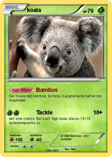 Pokemon koala