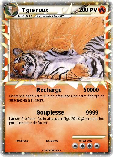 Pokemon Tigre roux
