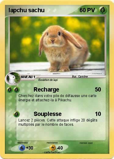 Pokemon lapchu sachu