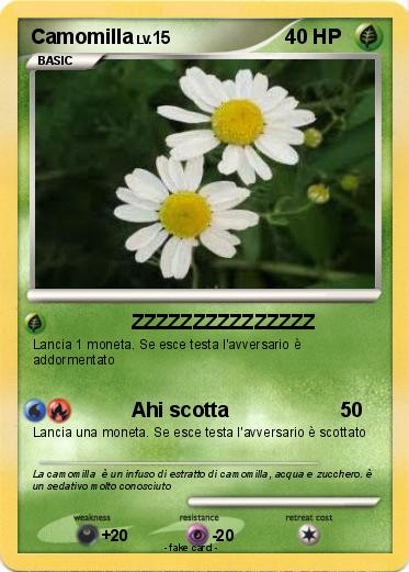Pokemon Camomilla