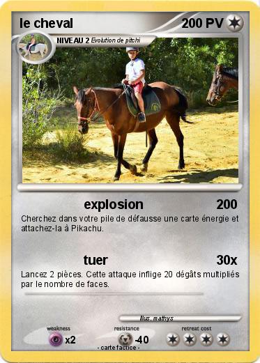 Pokemon le cheval