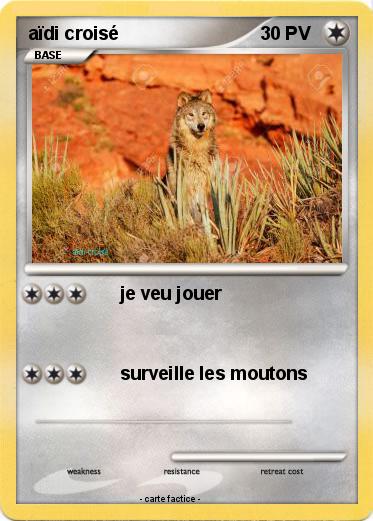 Pokemon aïdi croisé