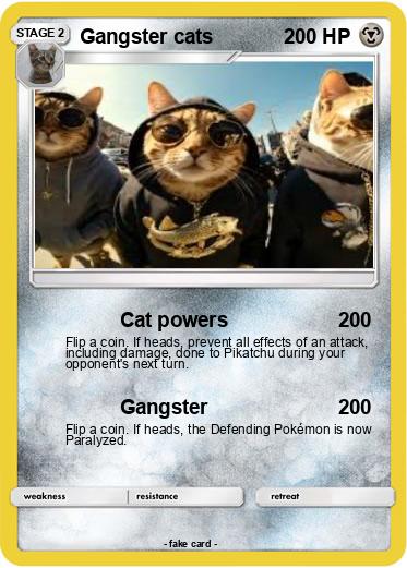 Pokemon Gangster cats