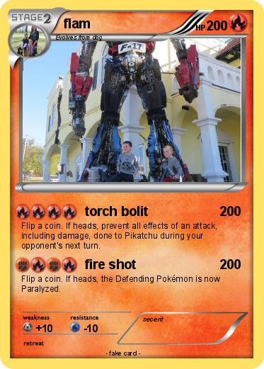 Pokemon flam