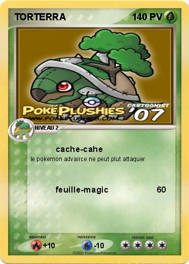 Pokemon TORTERRA