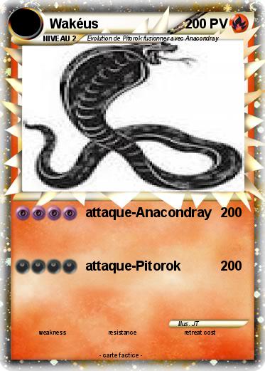 Pokemon Wakéus