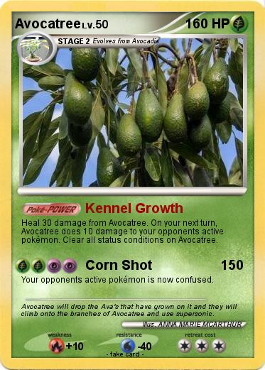 Pokemon Avocatree